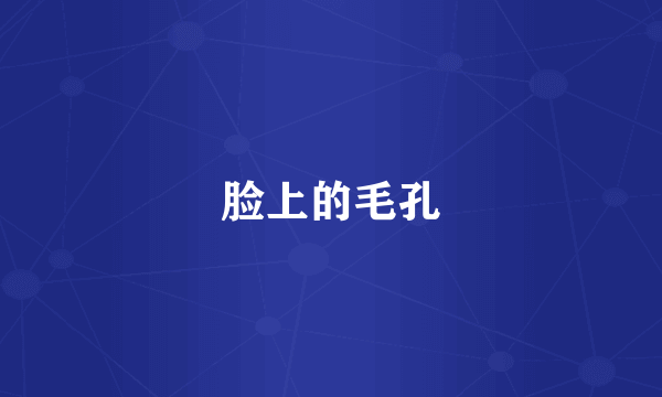 脸上的毛孔