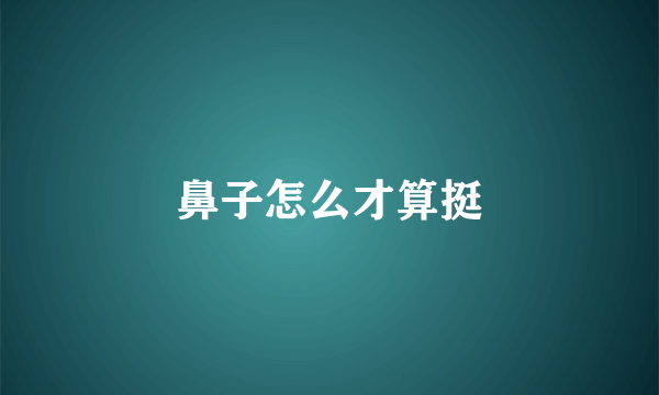 鼻子怎么才算挺