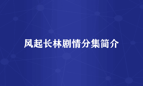 风起长林剧情分集简介
