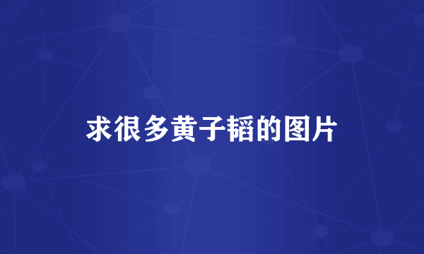 求很多黄子韬的图片
