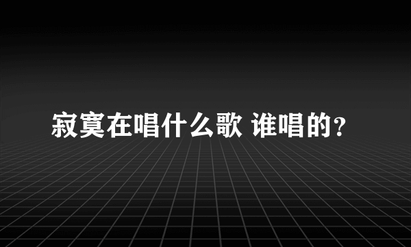 寂寞在唱什么歌 谁唱的？