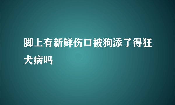脚上有新鲜伤口被狗添了得狂犬病吗