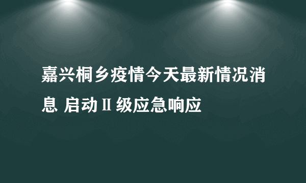 嘉兴桐乡疫情今天最新情况消息 启动Ⅱ级应急响应