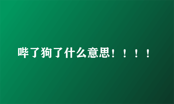 哔了狗了什么意思！！！！