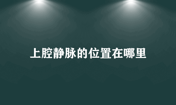 上腔静脉的位置在哪里