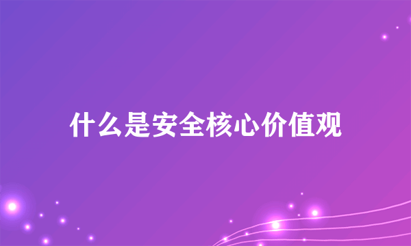 什么是安全核心价值观