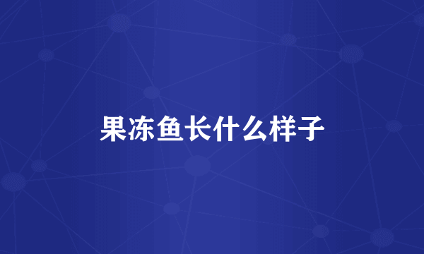 果冻鱼长什么样子