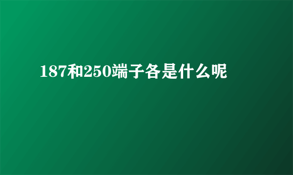 187和250端子各是什么呢