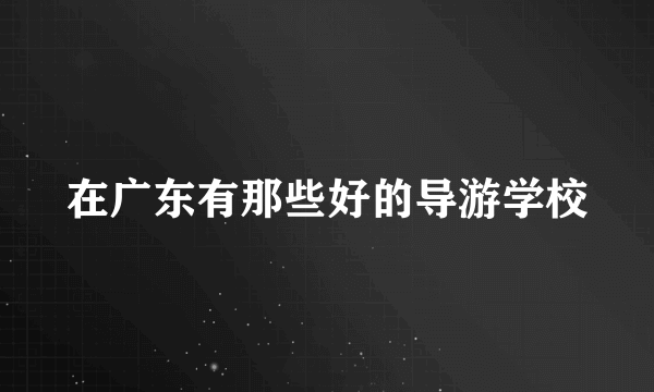 在广东有那些好的导游学校