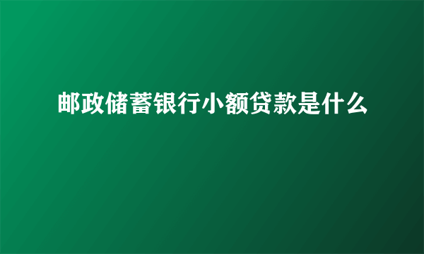 邮政储蓄银行小额贷款是什么