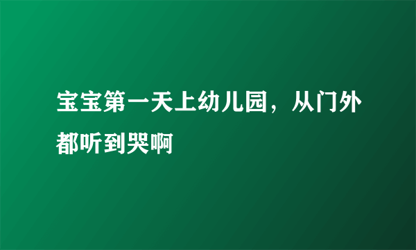 宝宝第一天上幼儿园，从门外都听到哭啊