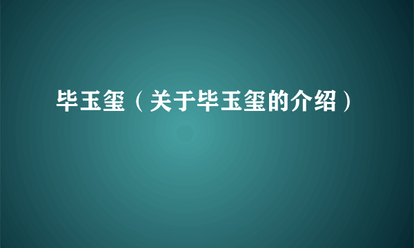 毕玉玺（关于毕玉玺的介绍）