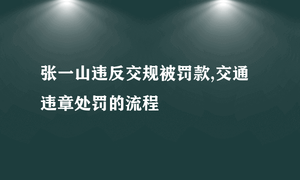 张一山违反交规被罚款,交通违章处罚的流程