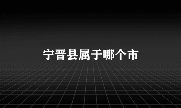 宁晋县属于哪个市