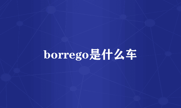 borrego是什么车