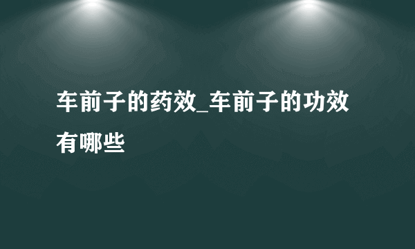 车前子的药效_车前子的功效有哪些