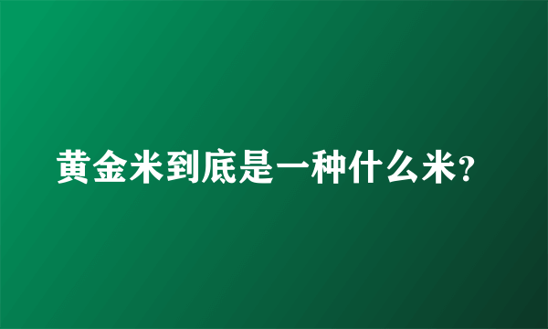 黄金米到底是一种什么米？