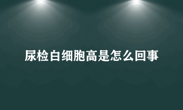 尿检白细胞高是怎么回事