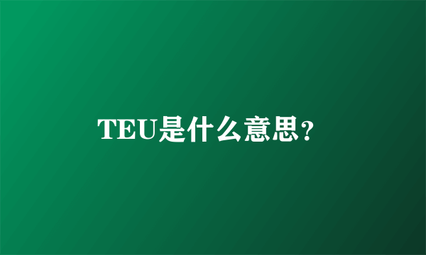 TEU是什么意思？