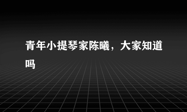 青年小提琴家陈曦，大家知道吗