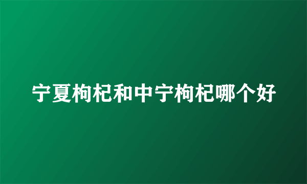 宁夏枸杞和中宁枸杞哪个好