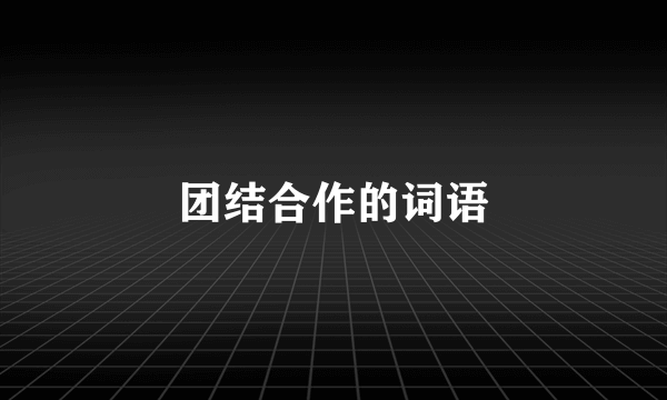 团结合作的词语