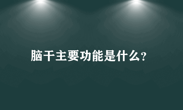 脑干主要功能是什么？
