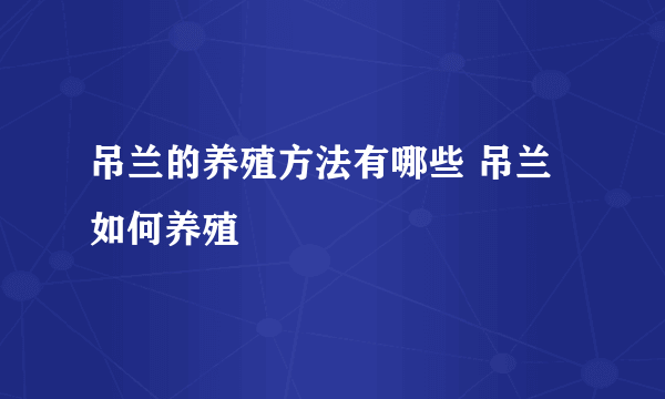吊兰的养殖方法有哪些 吊兰如何养殖
