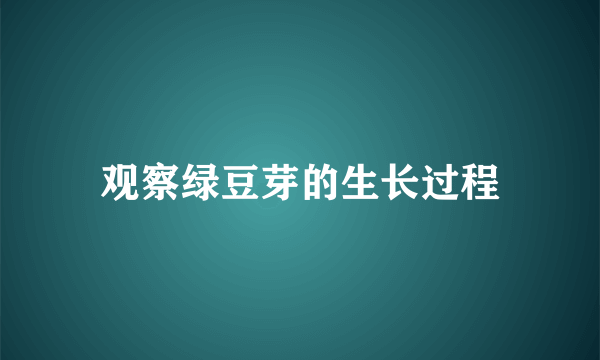观察绿豆芽的生长过程