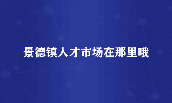 景德镇人才市场在那里哦