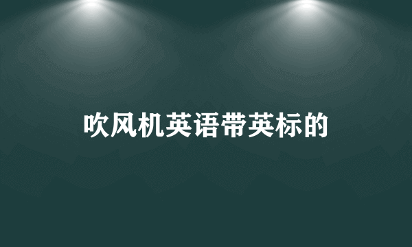 吹风机英语带英标的