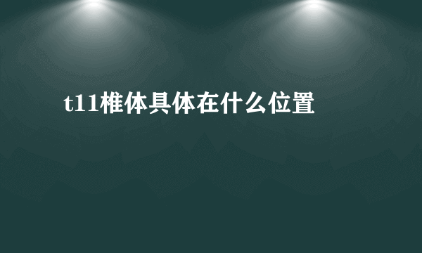  t11椎体具体在什么位置