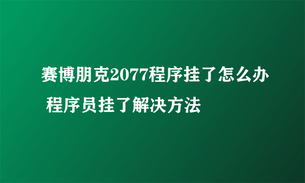 赛博朋克2077程序挂了怎么办 程序员挂了解决方法