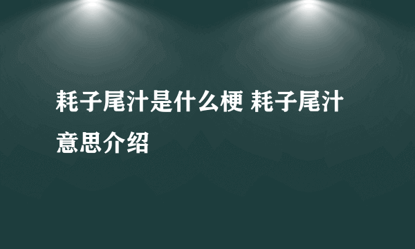 耗子尾汁是什么梗 耗子尾汁意思介绍
