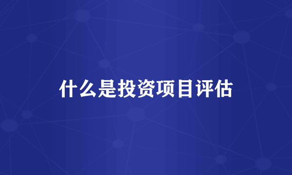 什么是投资项目评估