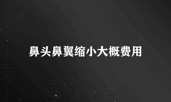 鼻头鼻翼缩小大概费用