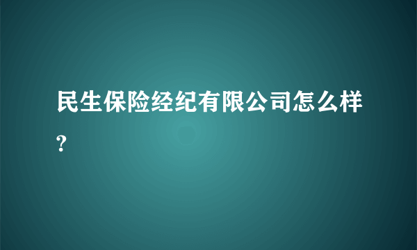 民生保险经纪有限公司怎么样?