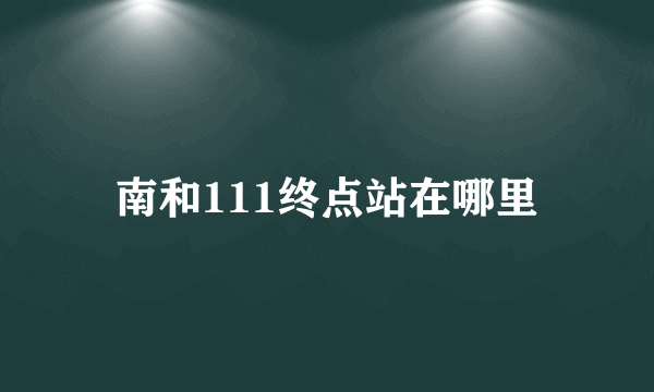 南和111终点站在哪里