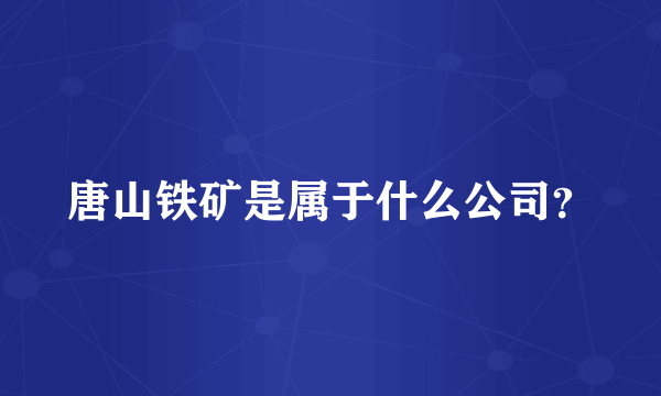 唐山铁矿是属于什么公司？