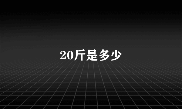 20斤是多少
