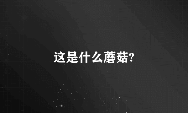 这是什么蘑菇?