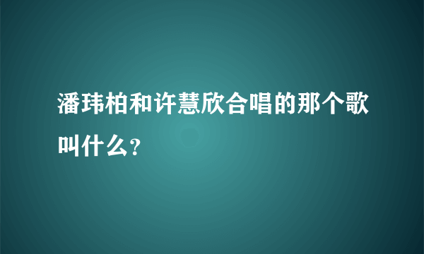 潘玮柏和许慧欣合唱的那个歌叫什么？