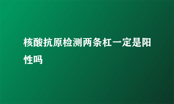 核酸抗原检测两条杠一定是阳性吗