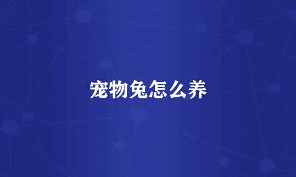 宠物兔怎么养