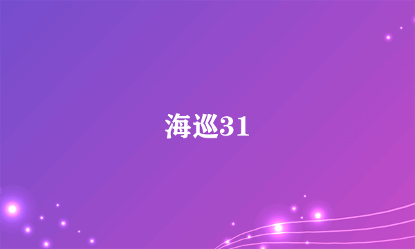 海巡31