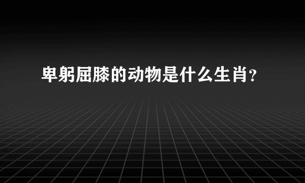 卑躬屈膝的动物是什么生肖？