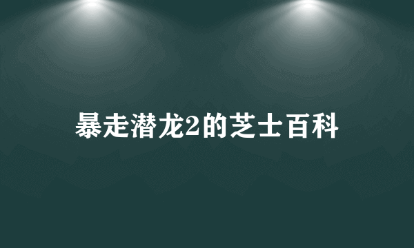 暴走潜龙2的芝士百科