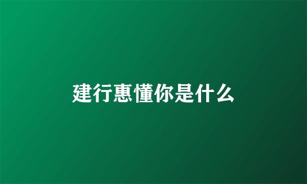 建行惠懂你是什么