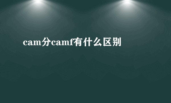 cam分camf有什么区别