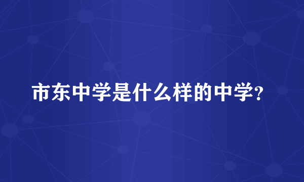 市东中学是什么样的中学？